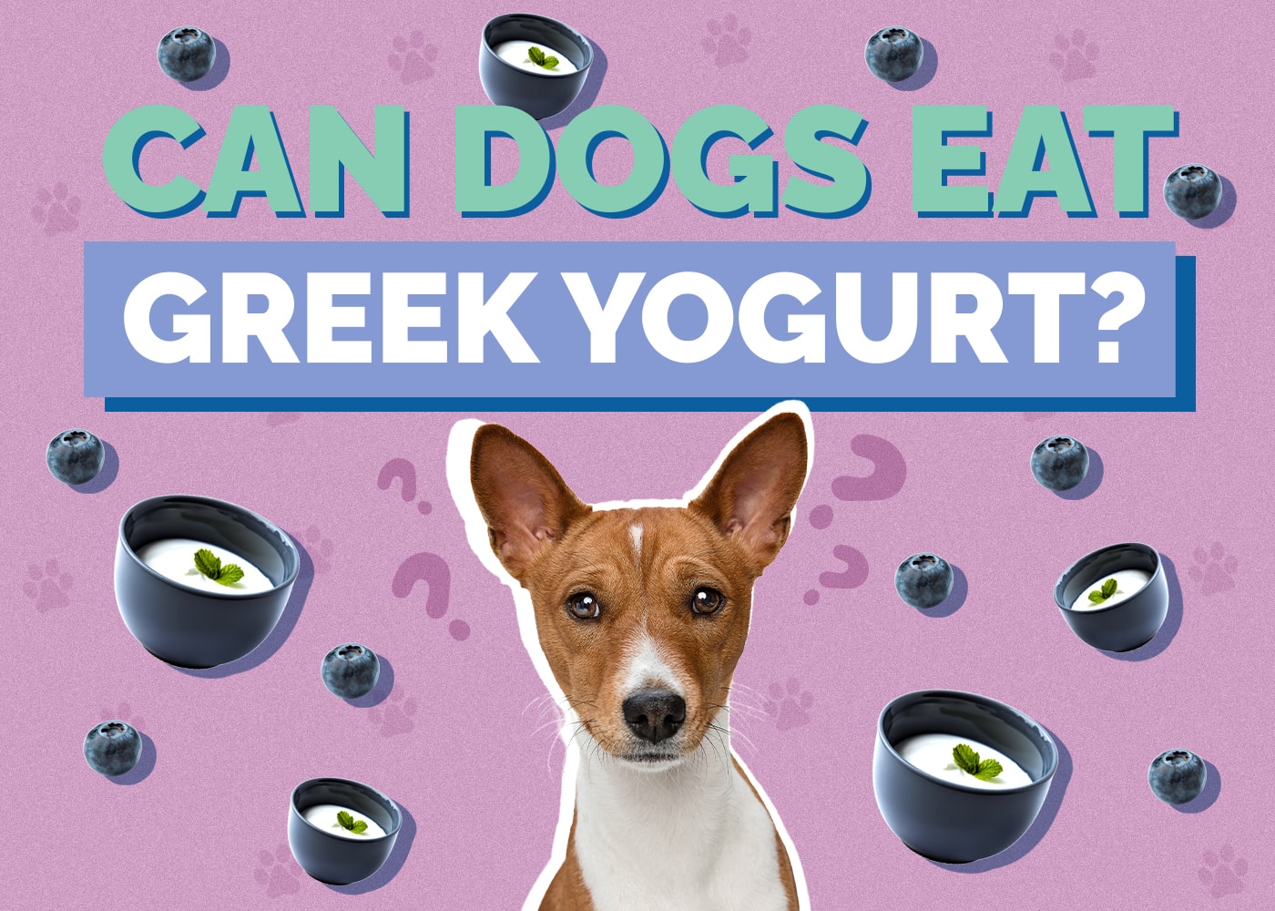 Can Dogs Eat Greek Yogurt? Vet Reviewed Nutrition Facts & FAQ