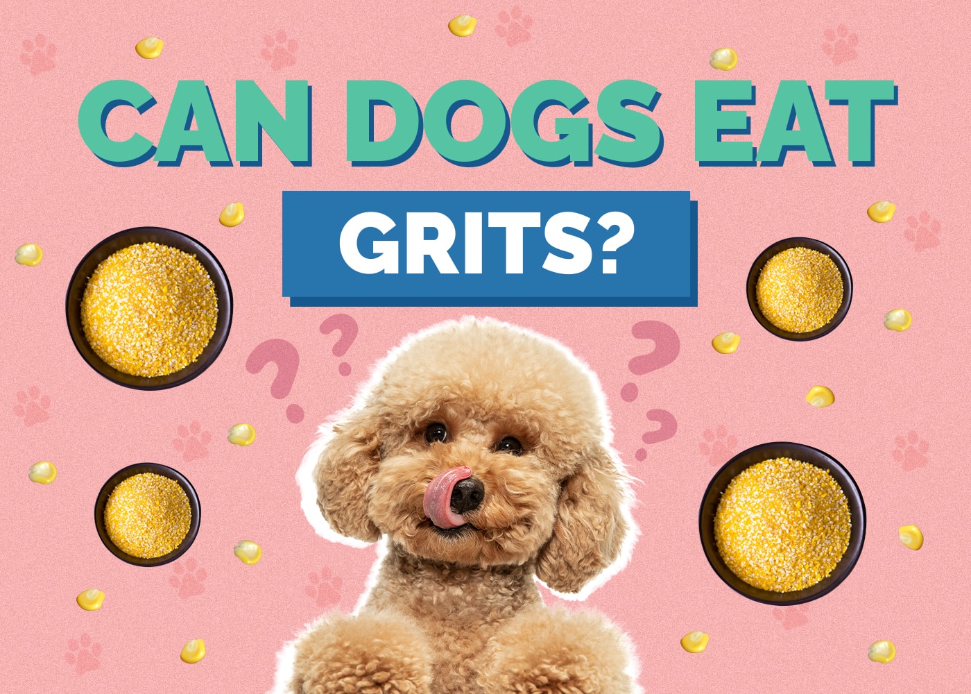 Can Dogs Eat Grits? Nutrition Facts & Safety Guide