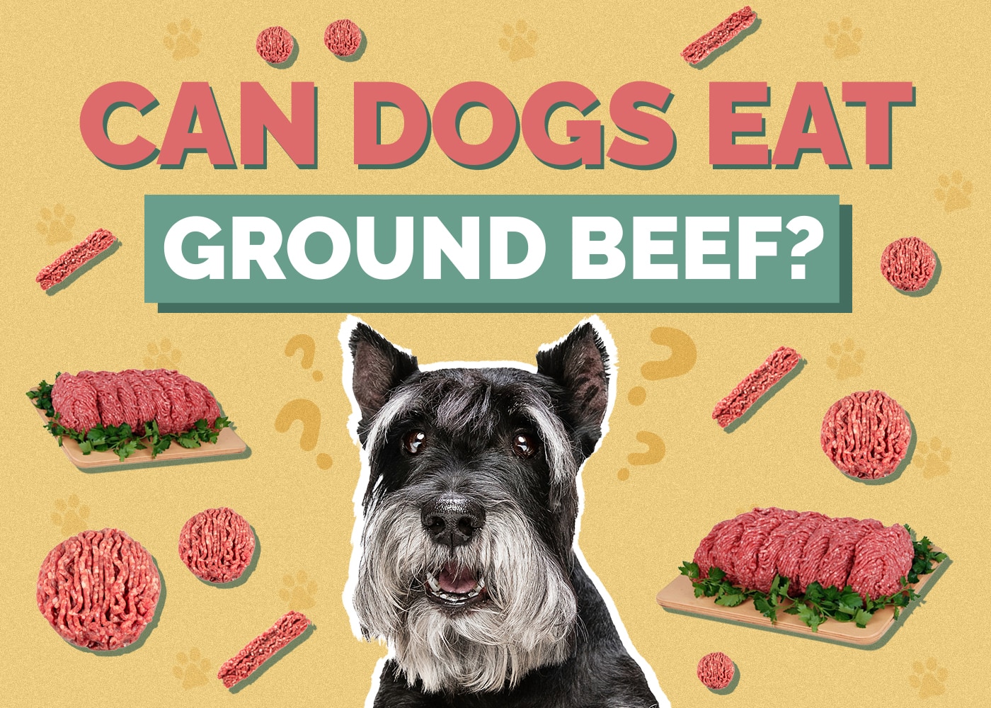 Can Dogs Eat Ground Beef? Vet-Approved Health Facts & FAQ