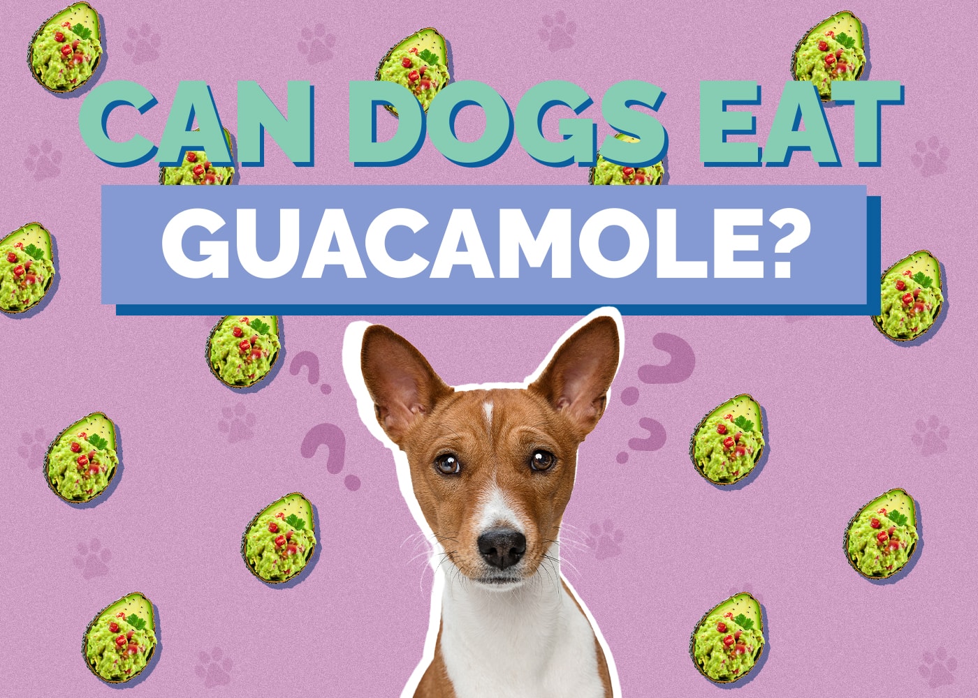 Can Dogs Eat Guacamole? Vet-Reviewed Health Risks & FAQ