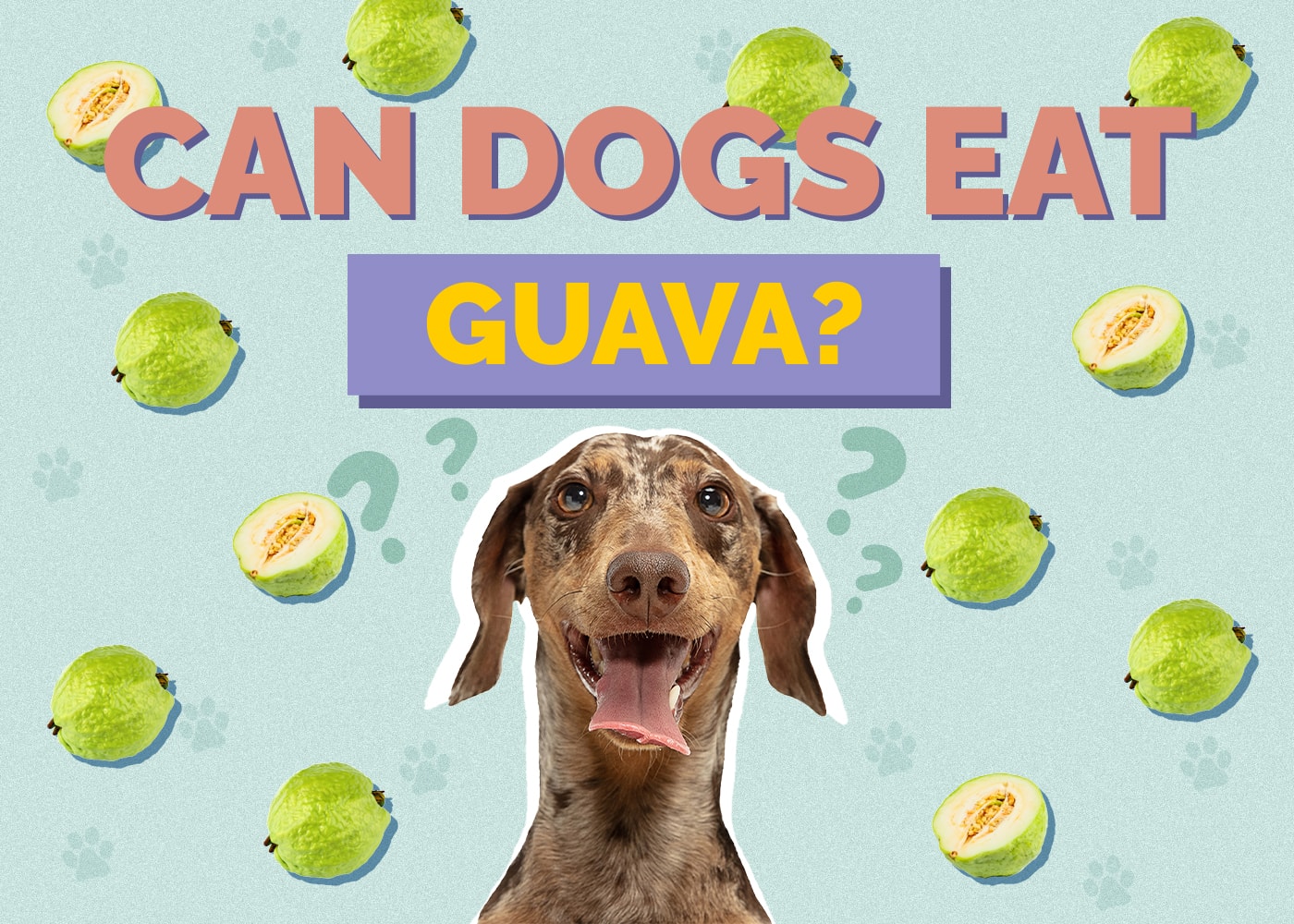 Can Dogs Eat Guava? Nutrition Facts & Safety Guide