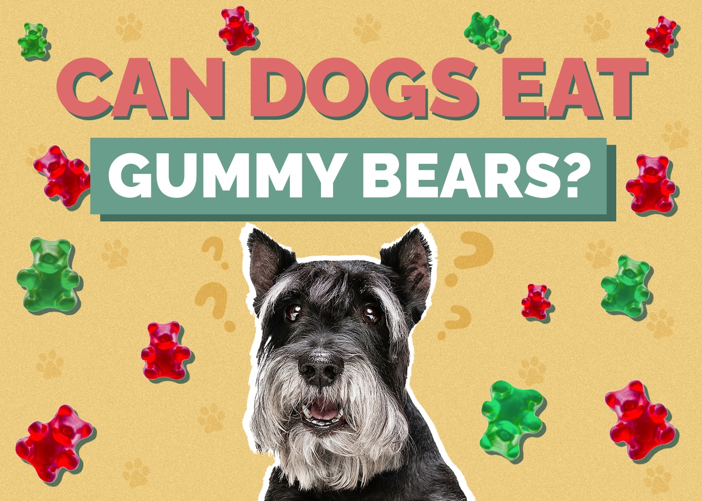 Can Dogs Eat Gummy Bears? Are Gummy Bears Safe for Dogs?