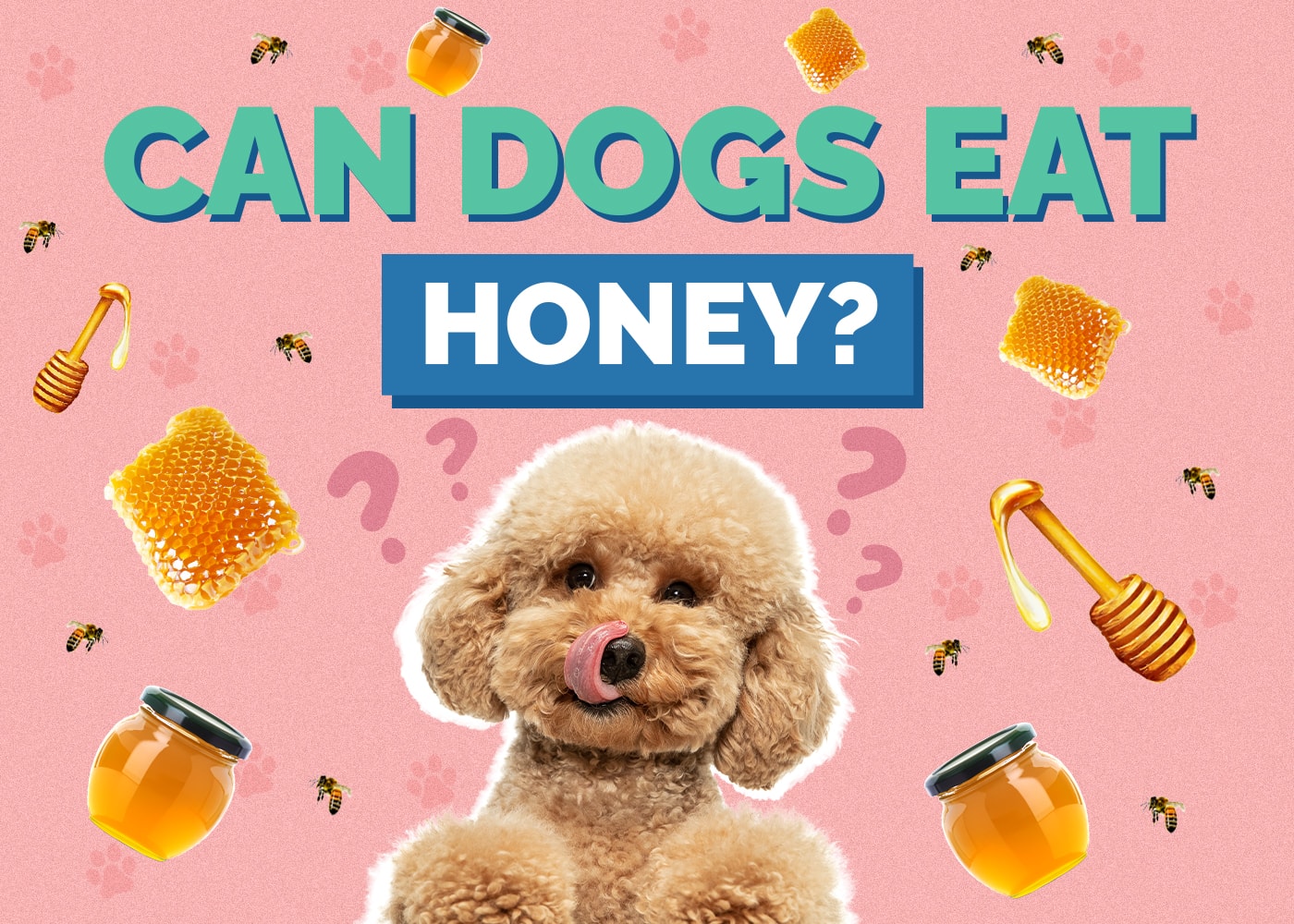 Can Dogs Eat Honey? Is Honey Safe for Dogs?
