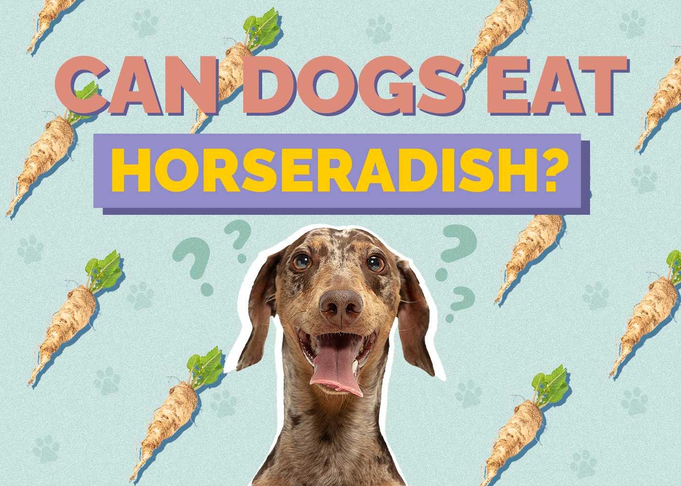 Can Dogs Eat Horseradish? Vet-Reviewed Health Risks & FAQs