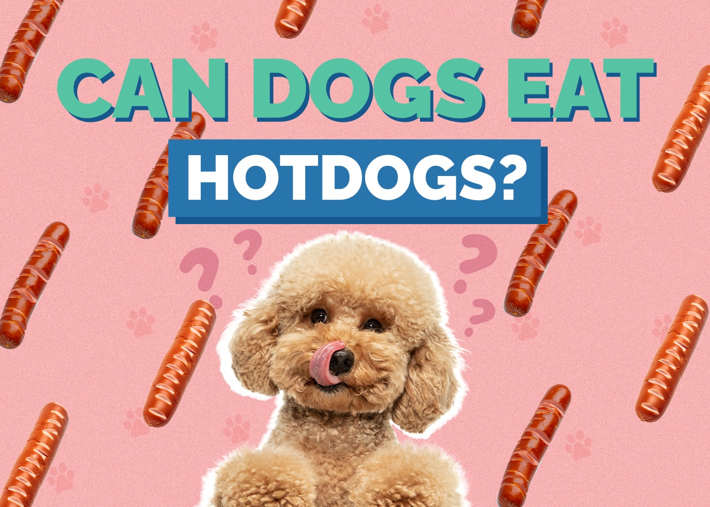 Can Dogs Eat Hot Dogs? Nutrion Facts & FAQ