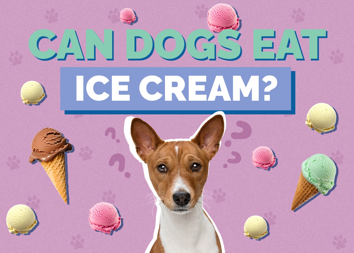 Can Dogs Eat Ice Cream? Nutrition & Safety Tips