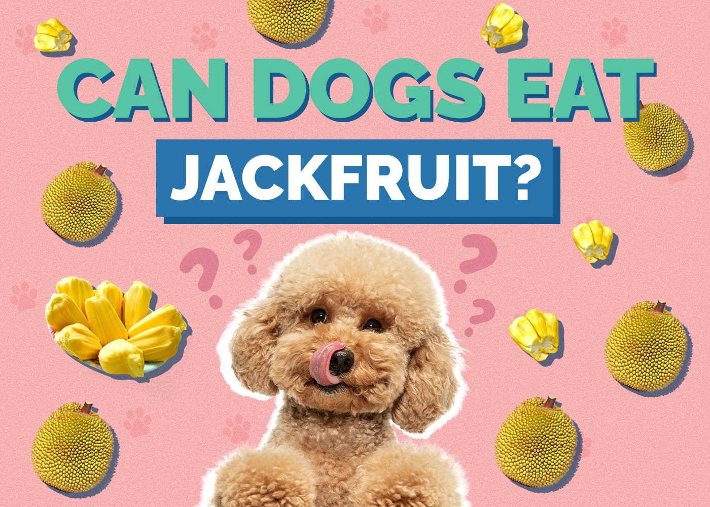 Can Dogs Eat Jackfruit? Vet-Approved Facts & FAQ