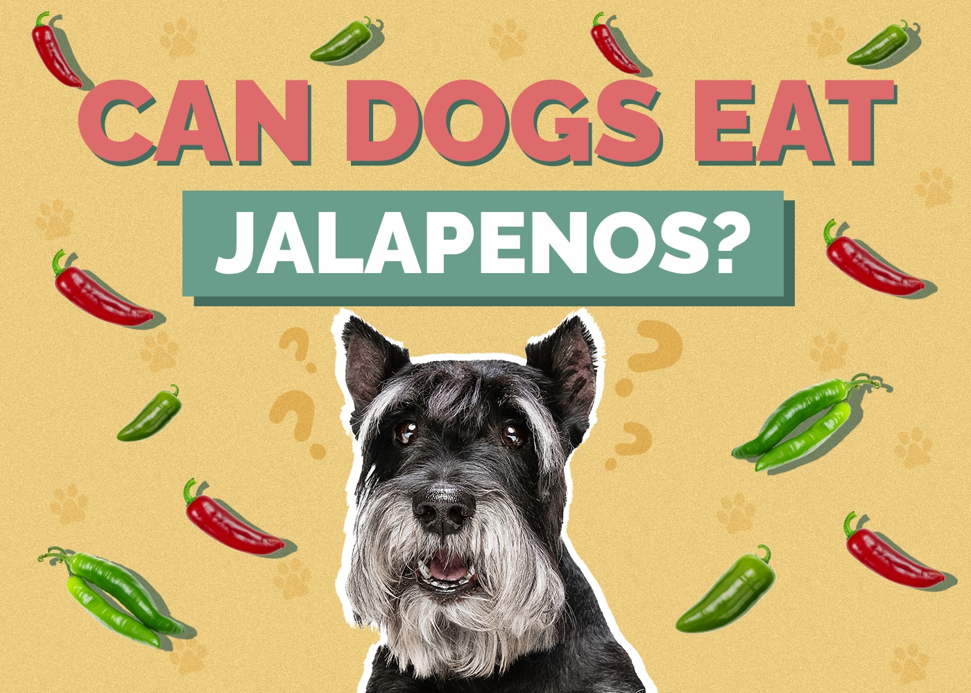 Can Dogs Eat Jalapenos? Are Jalapenos Bad for Dogs?