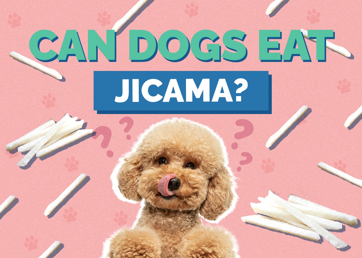 Can Dogs Eat Jicama? Nutrition Facts & Safety Guide