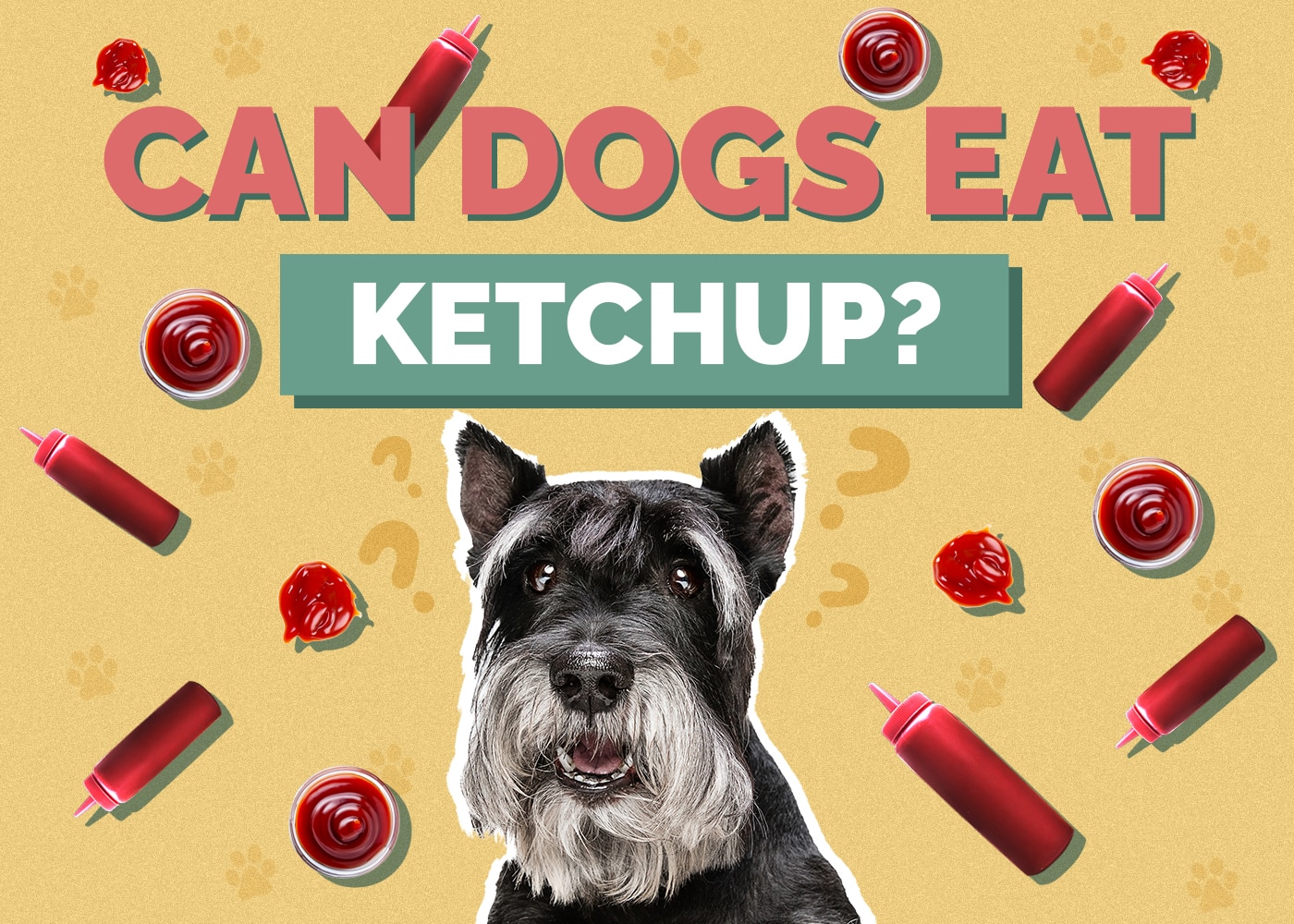 Can Dogs Eat Ketchup? Health & Safety Facts