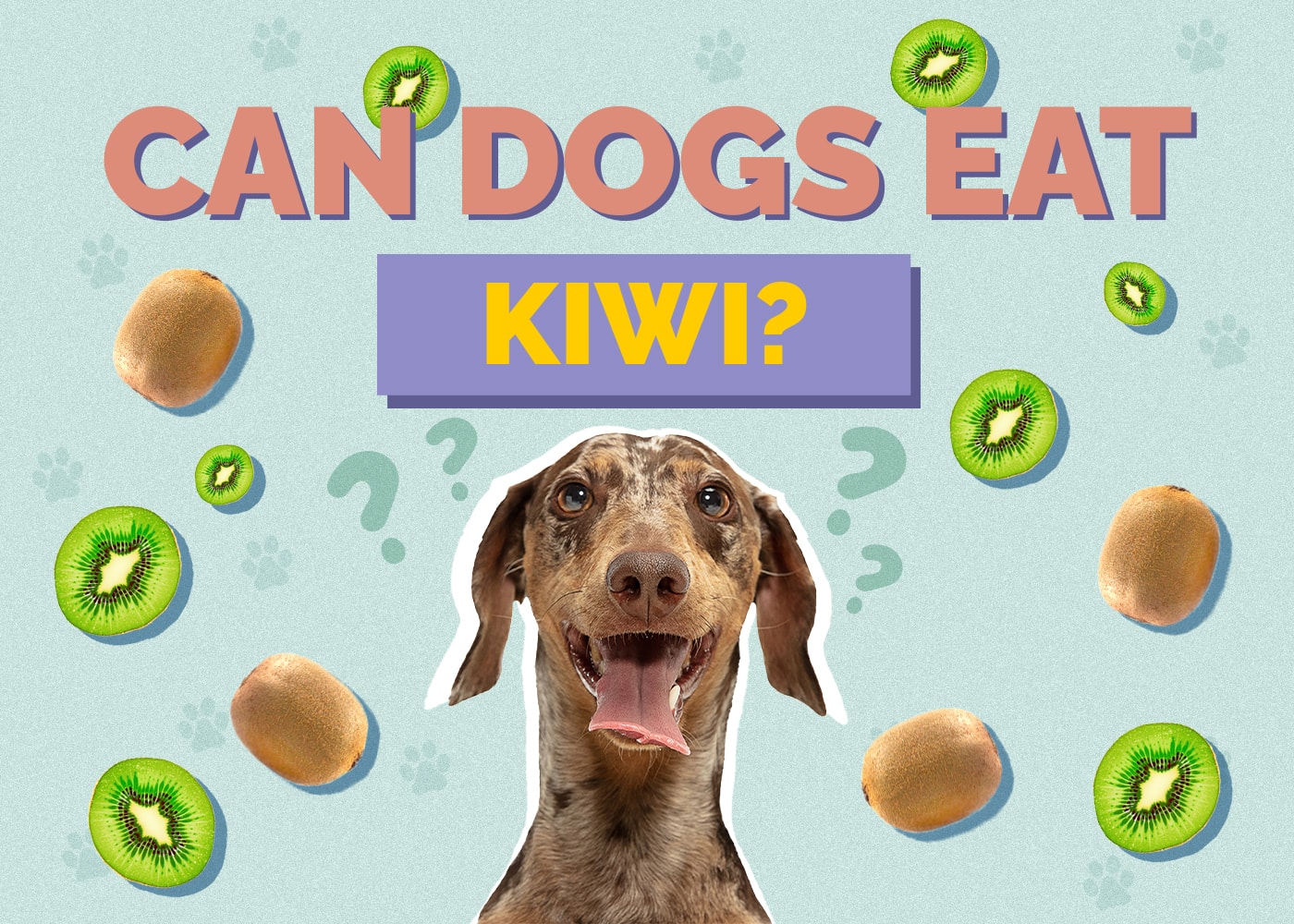 Can Dogs Eat Kiwi? Nutrition Facts & Safety Guide