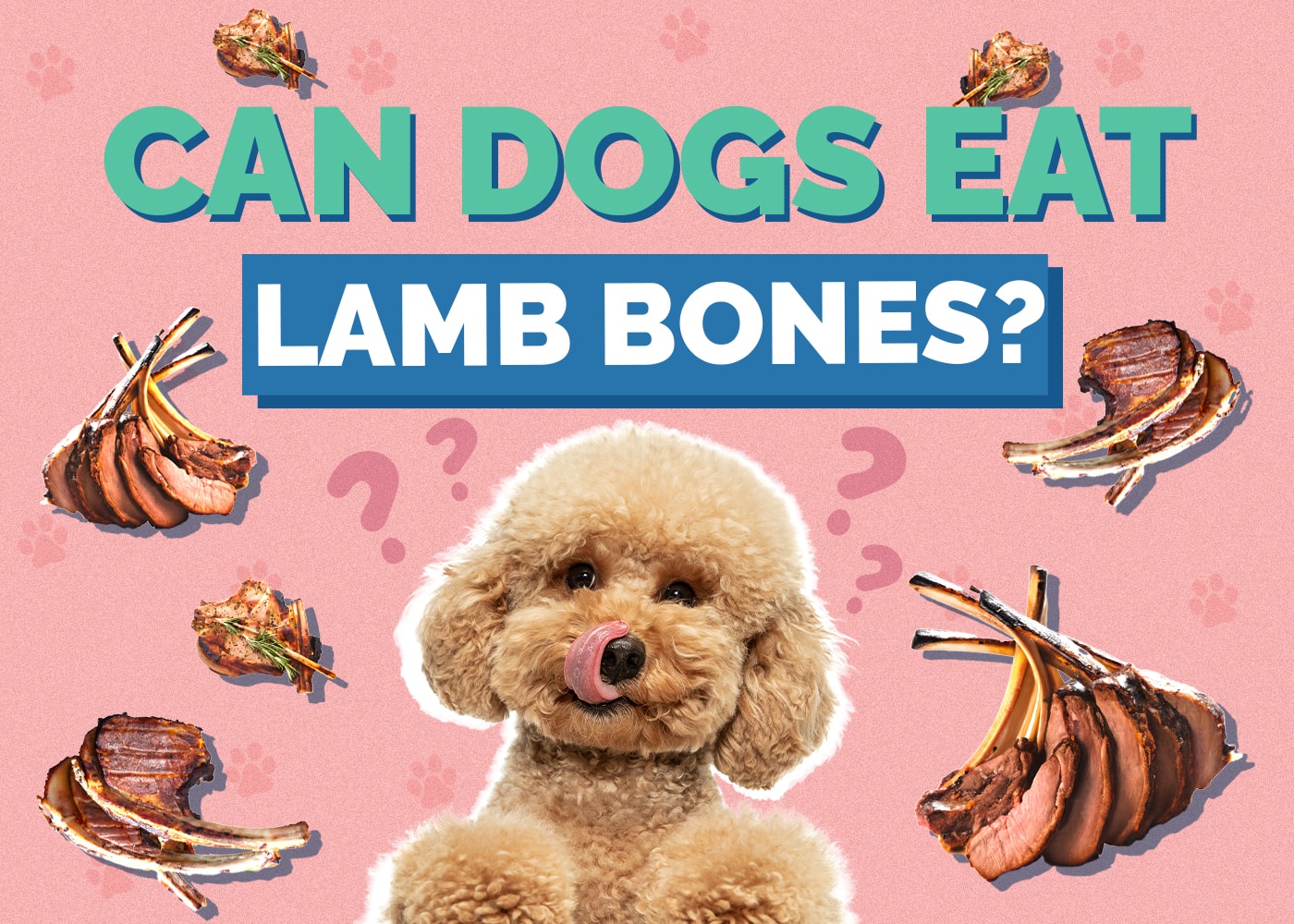 Can Dogs Eat Lamb Bones? Vet Reviewed Health & Safety Considerations