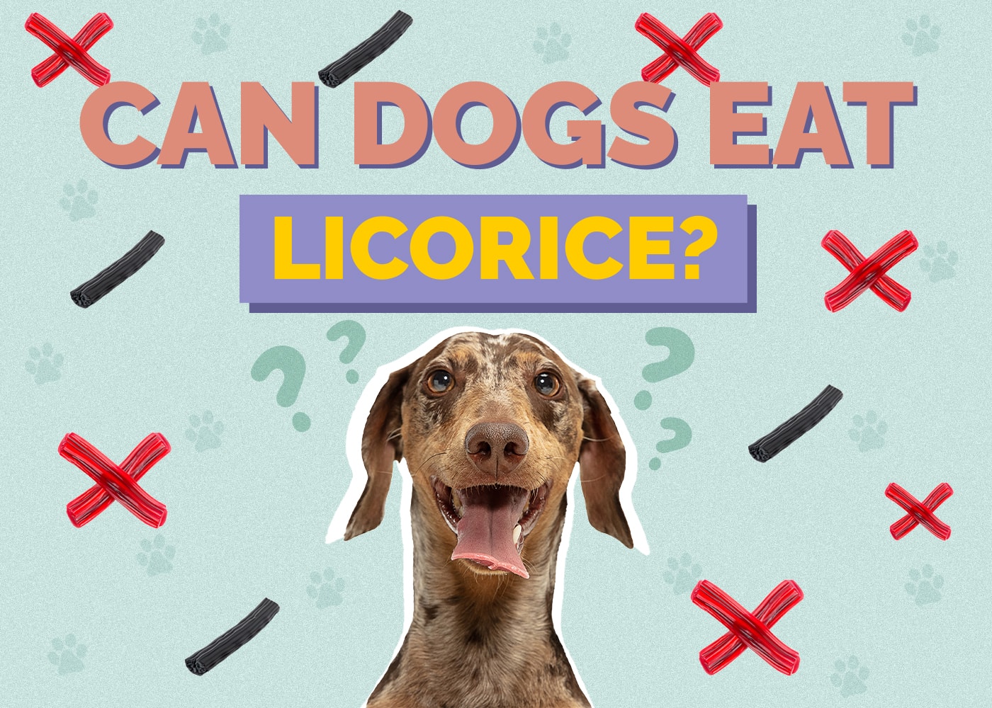 Can Dogs Eat Black and Red Licorice? Are Black and Red Licorice Safe for Dogs?