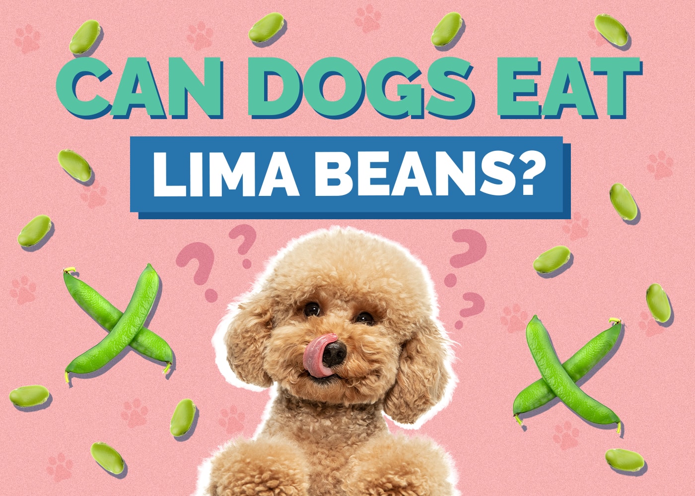 Can Dogs Eat Lima Beans? Nutrition Facts & Safety Guide