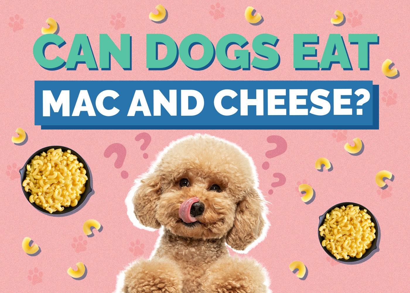 Can Dogs Eat Mac and Cheese? Vet-Verified Considerations