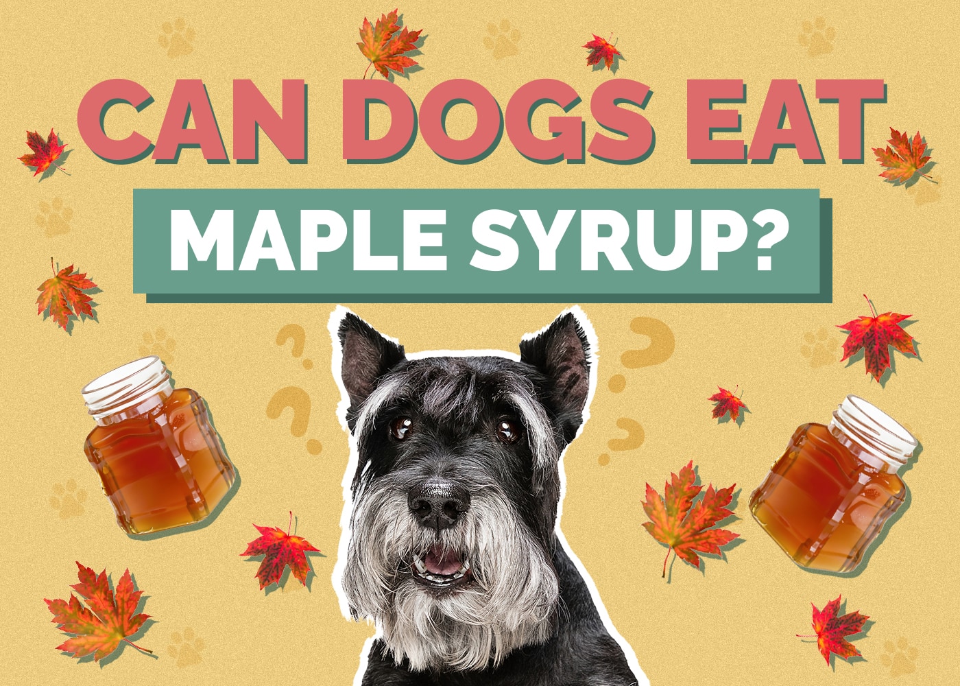 Can Dogs Eat Maple Syrup? Vet Approved Facts & Nutrition Guide