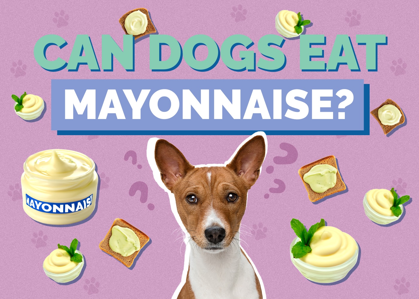 Can Dogs Have Mayonnaise? Vet-Verified Facts & FAQ