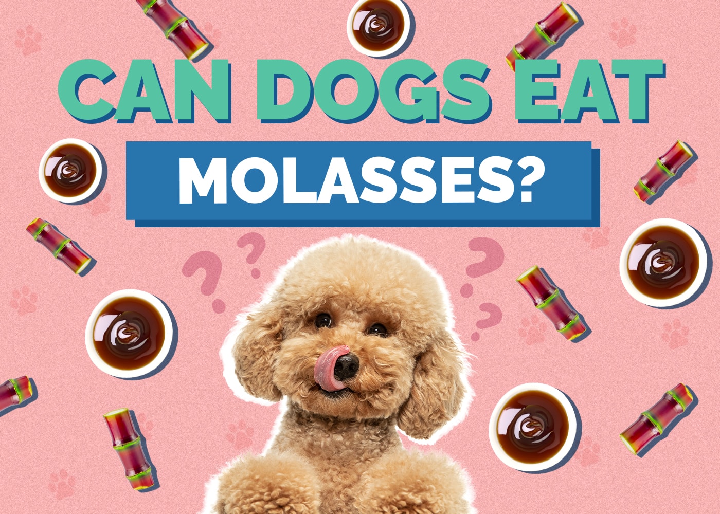 Can Dogs Eat Molasses? Vet Approved Benefits & Safety Tips