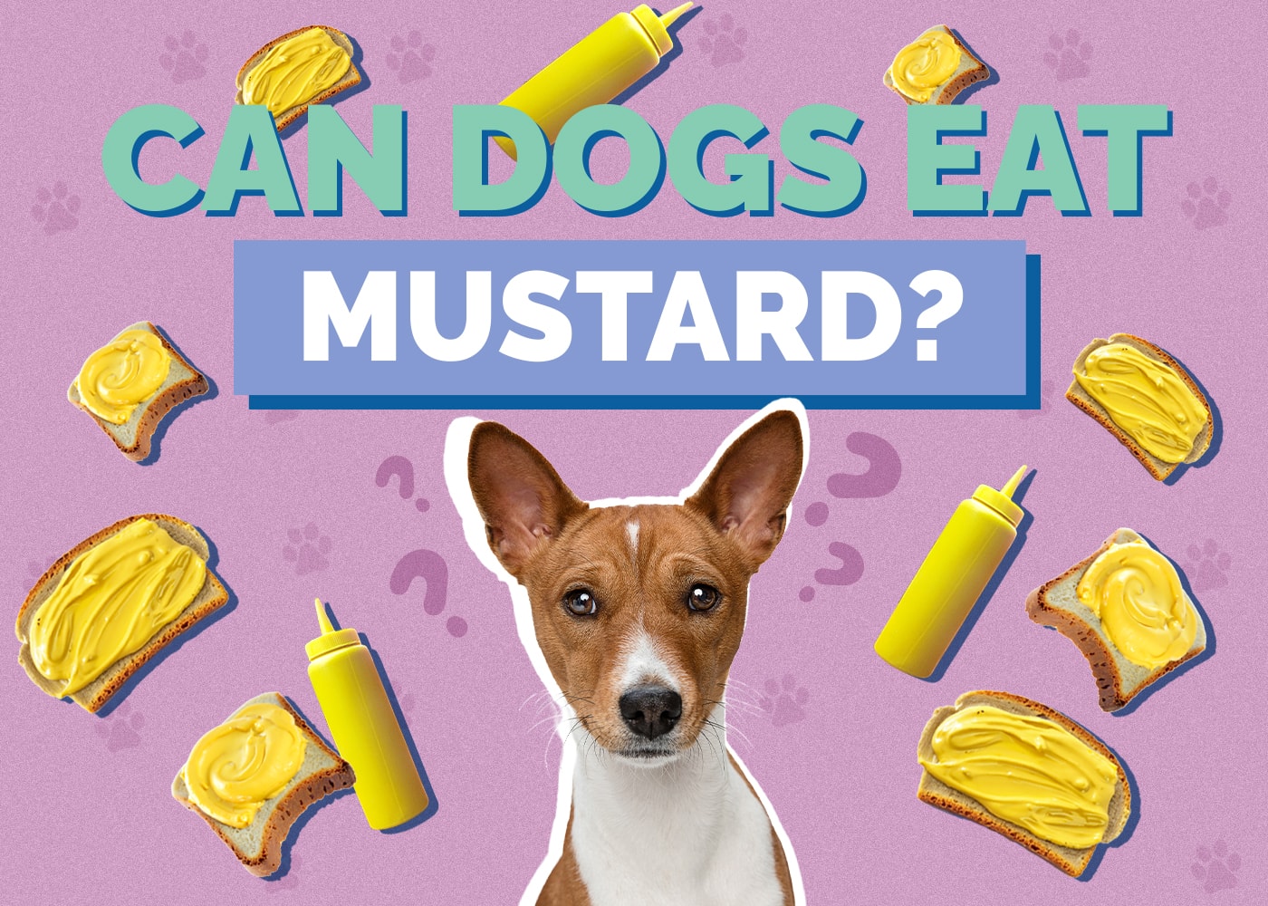 Can Dogs Eat Mustard? Vet-Reviewed Facts & Safety Guidelines