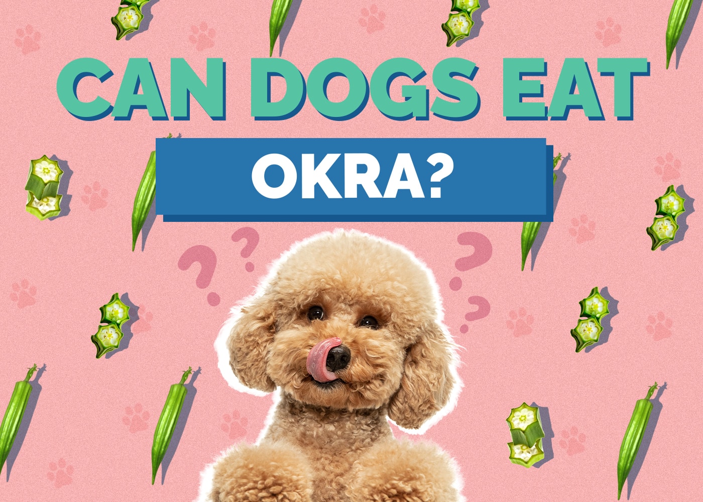 Can Dogs Eat Okra? Vet-Reviewed Safety Facts & FAQ