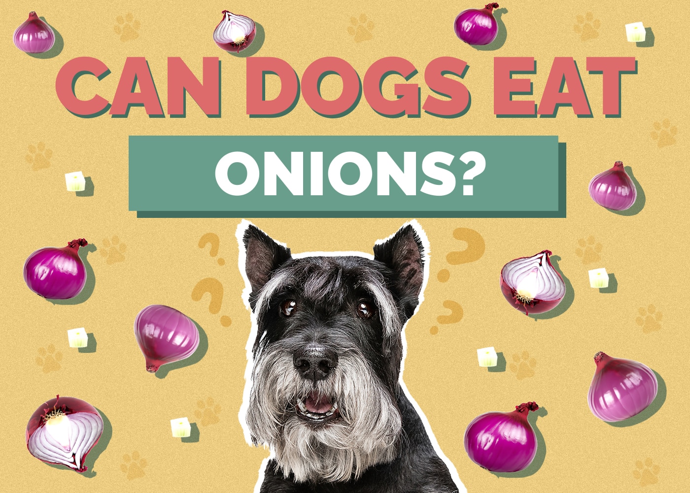 Can Dogs Eat Onions? Are Onions Safe for Dogs? Vet-Approved Facts & FAQ