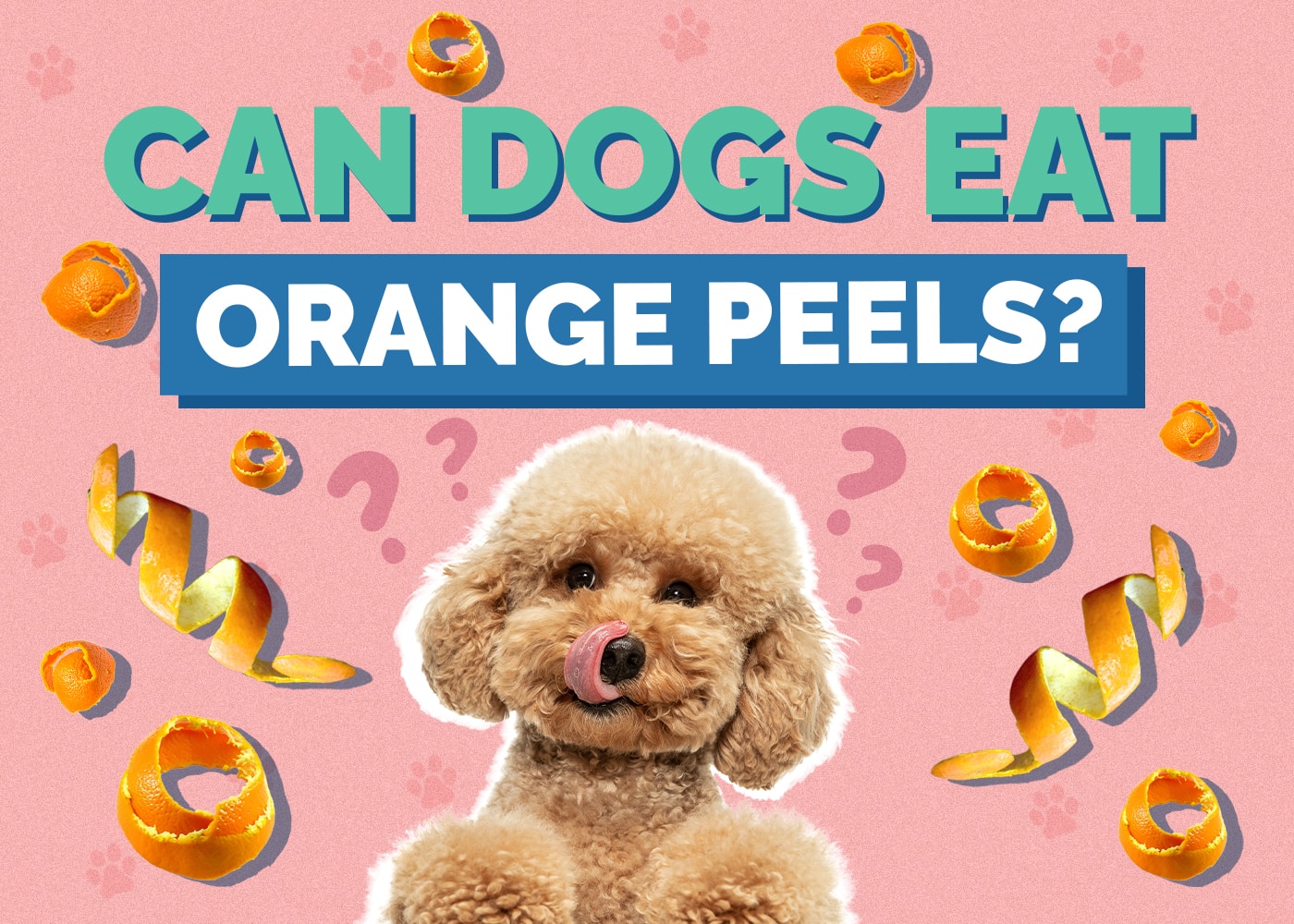 Can Dogs Eat Orange Peels? Nutrition Facts & Safety Guide