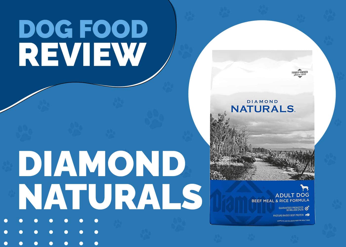 Diamond Naturals Dog Food Review 2026: Recalls, Pros & Cons