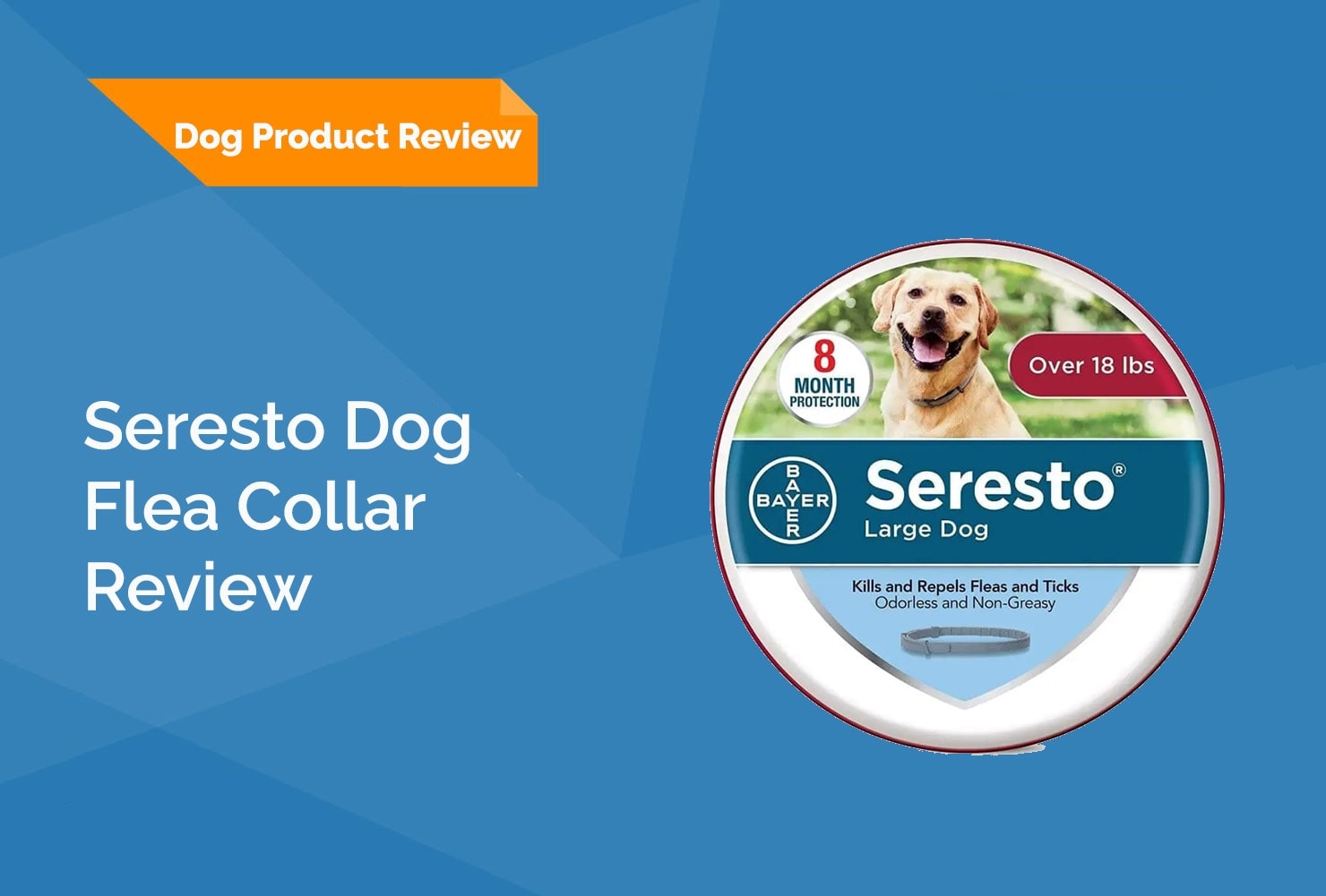 Bayer Seresto Flea and Tick Collar for Dogs Review 2026: Pros, Cons, & Verdict