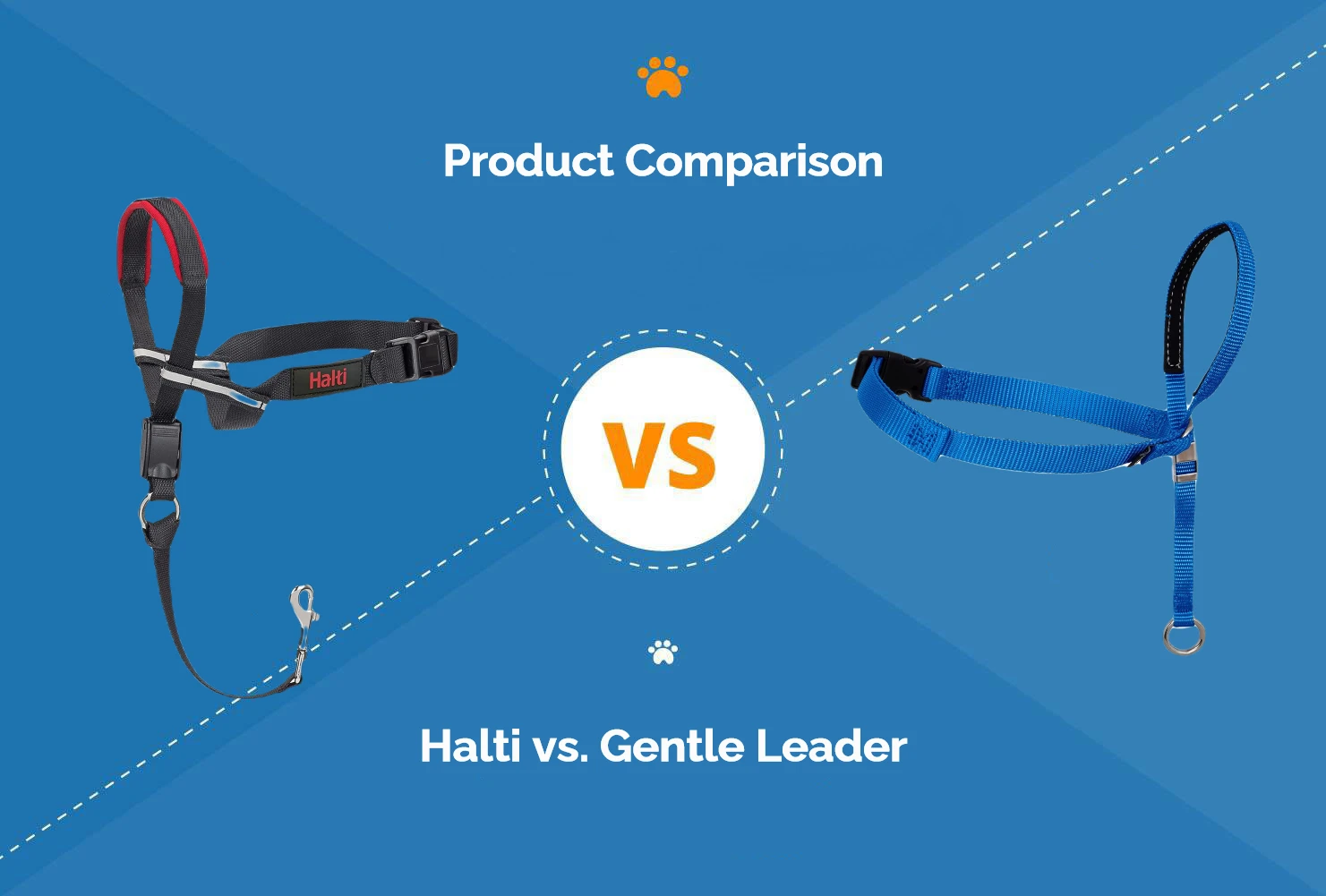 Halti vs Gentle Leader: Pros, Cons & Verdict (2026 Update)