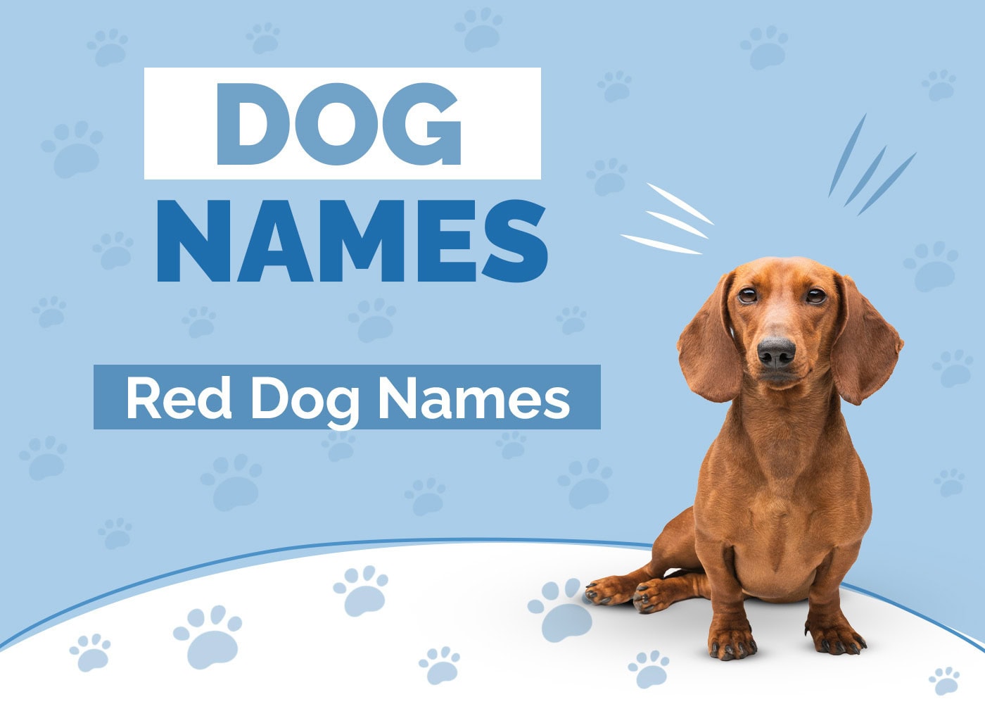 169 Red Dog Names: Fiery Ideas for Ginger Pups
