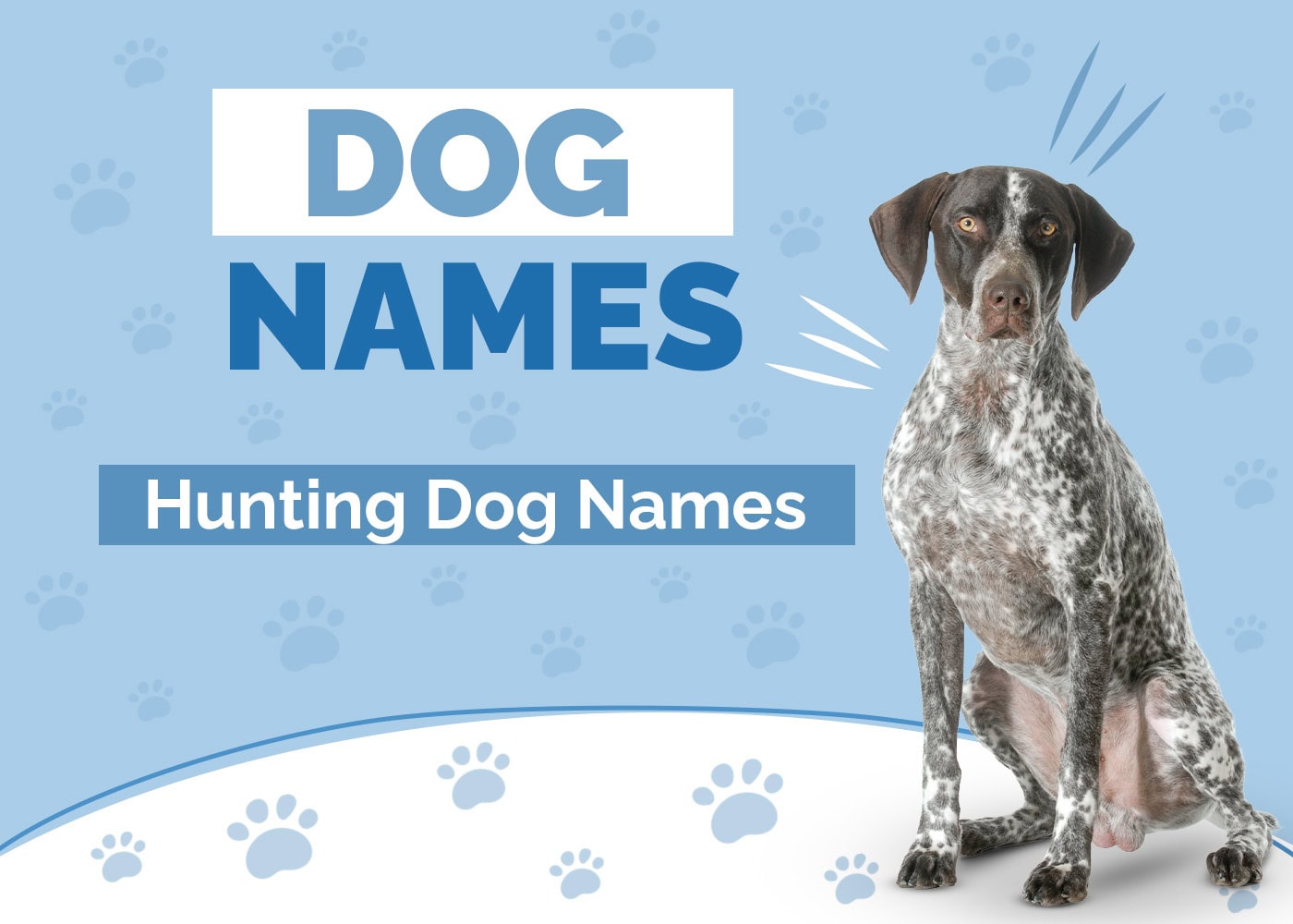 100+ Hunting Dog Names: Ideas for Fierce, Loyal & Focused Dogs