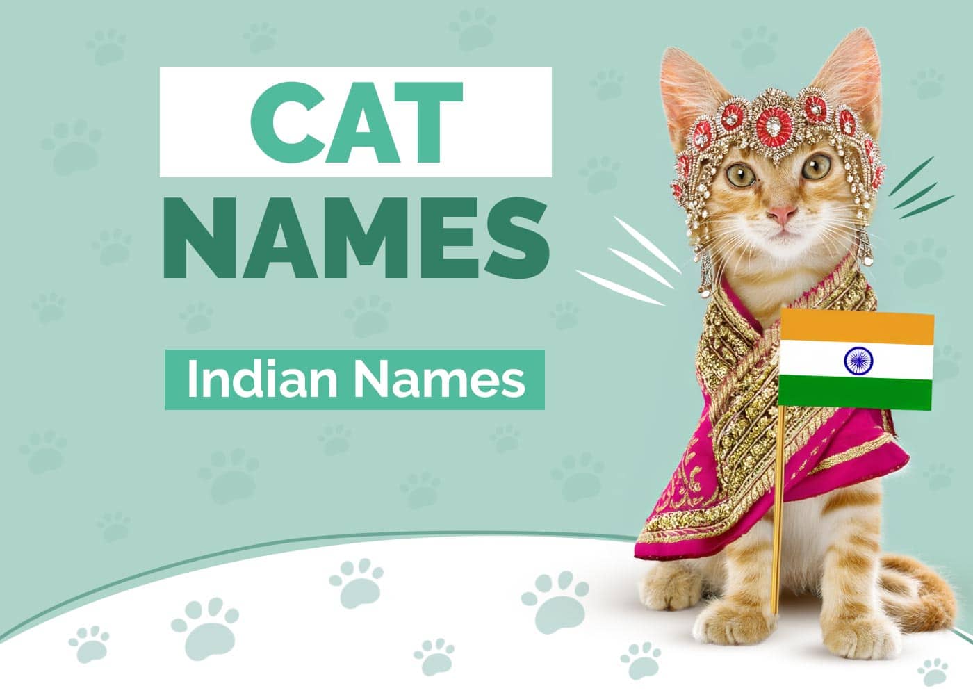 150+ Indian Cat Names With Meanings: Our Top Picks for Your Cat