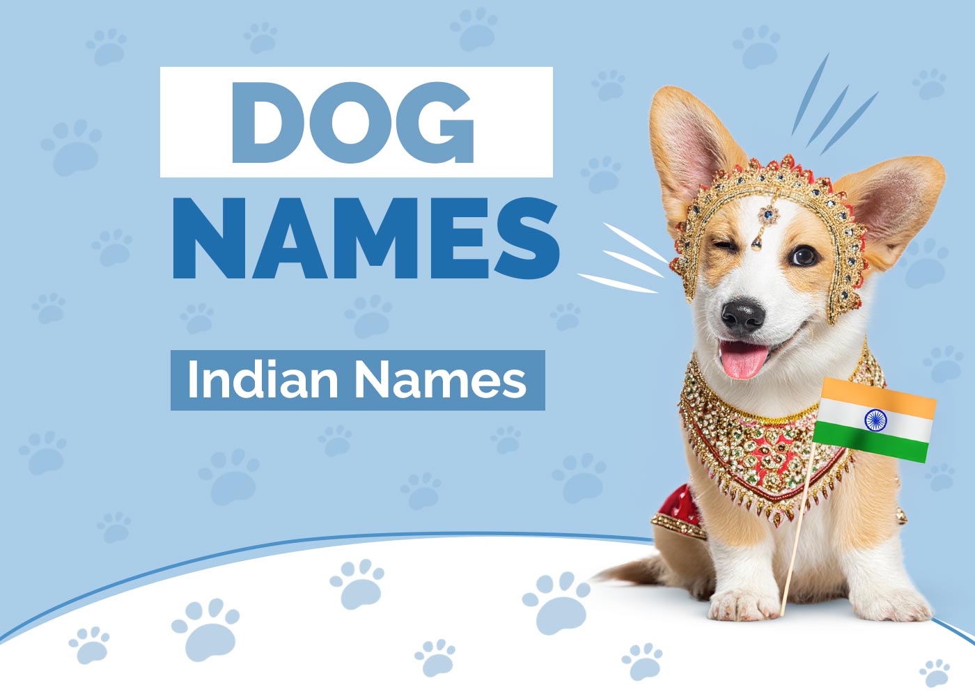 100+ Indian Dog Names: Bollywood & Food Ideas For Your Pet