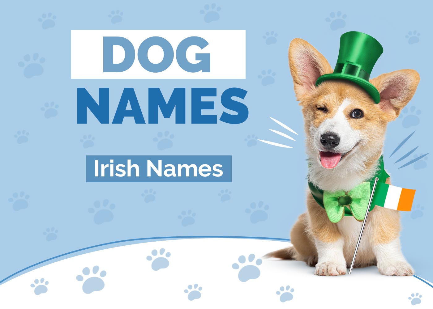 100+ Irish Dog Names: Ideas for Fun & Lucky Dogs