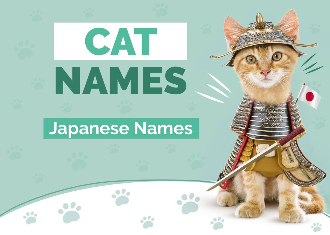 200+ Japanese Cat Names: Ideas for Your Exotic Cat (with Meanings)
