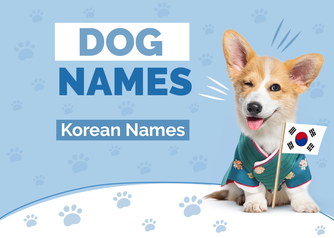 100+ Korean Dog Names: Innovative Ideas (With Meanings)
