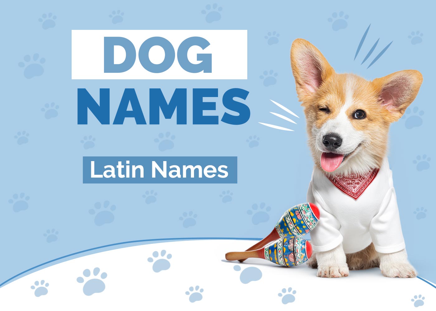 100+ Latin Dog Names: Passionate & Sweet Ideas For Your Pet