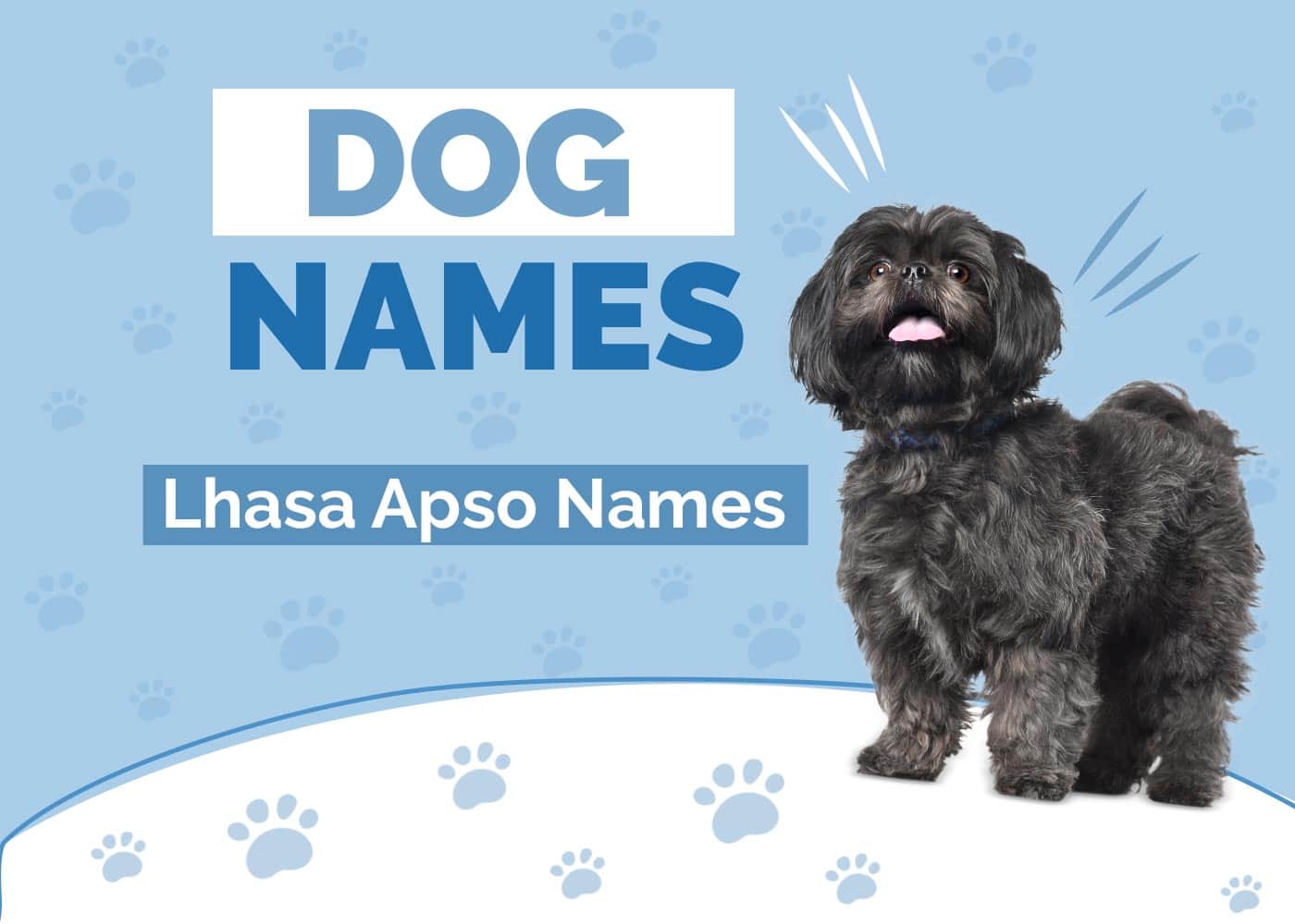 100+ Lhasa Apso Dog Names: Fluffy, Tibetan & Cute Ideas