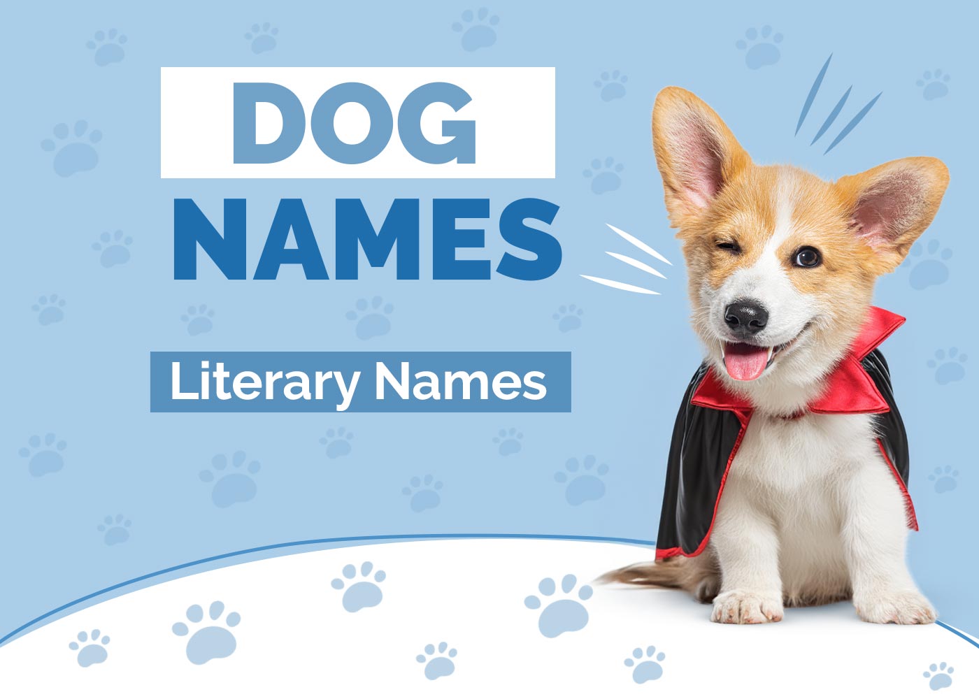 100+ Literary Dog Names: Classic & Modern Ideas for Bookworms