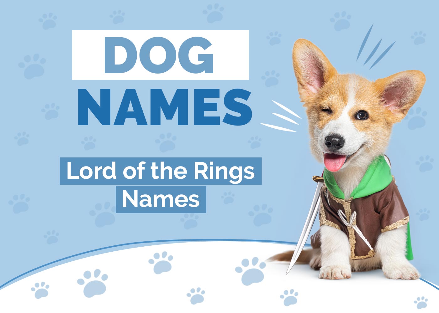 100+ Lord of the Rings Dog Names: Ideas for Imaginative & Mystical Dogs