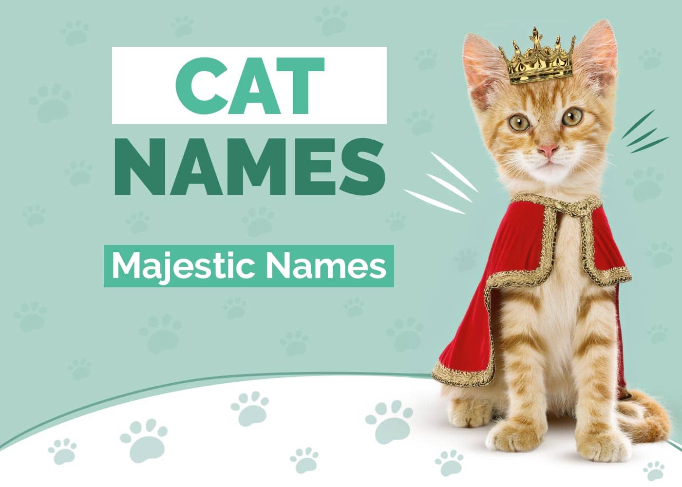 275+ Majestic Cat Names: Our Top Picks for Your Stately Cat