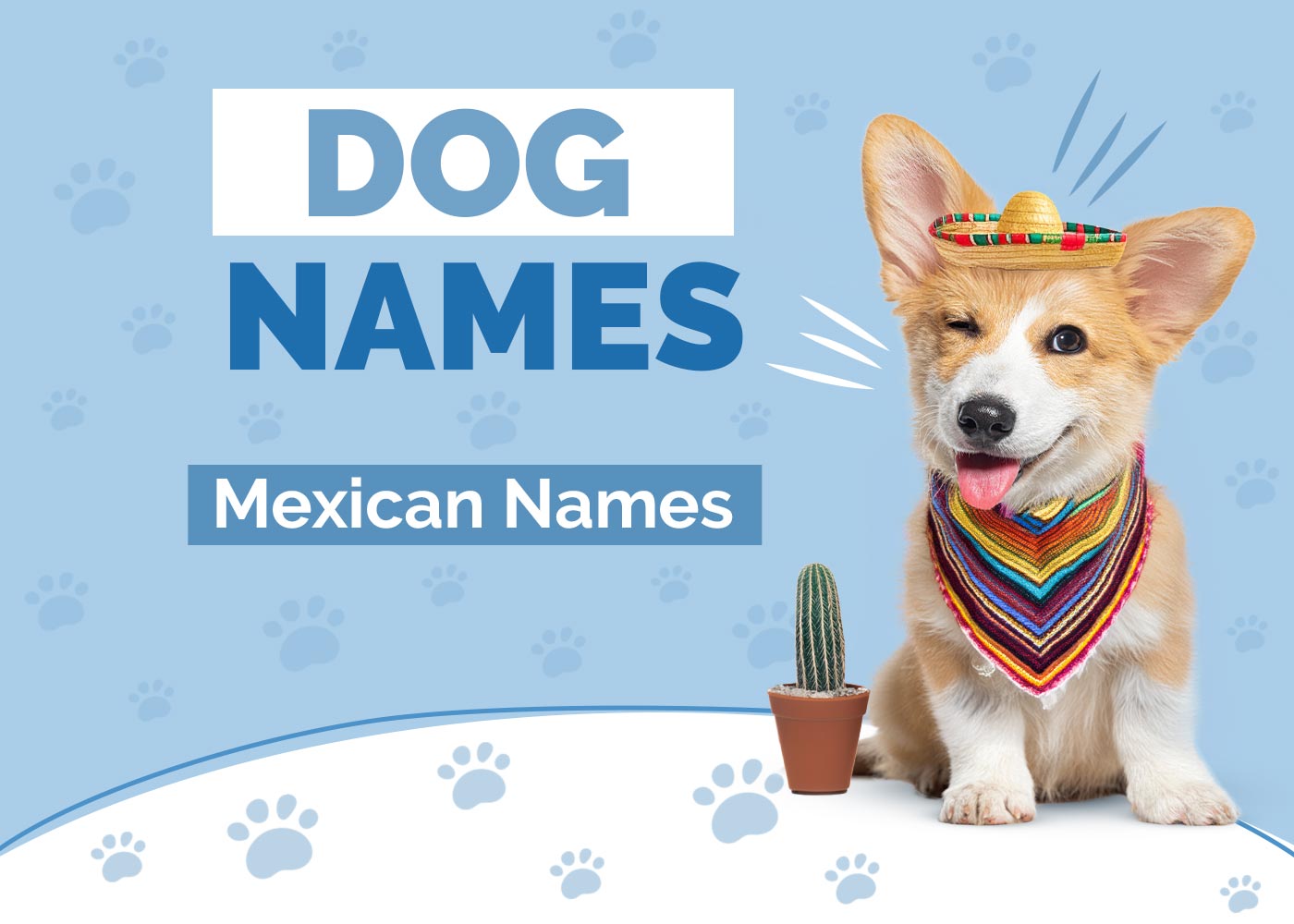100+ Mexican Dog Names: Ideas for Your Perrito