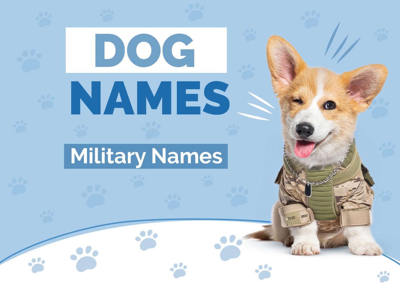 100+ Military Dog Names: Ideas for Fearless & Powerful Pups