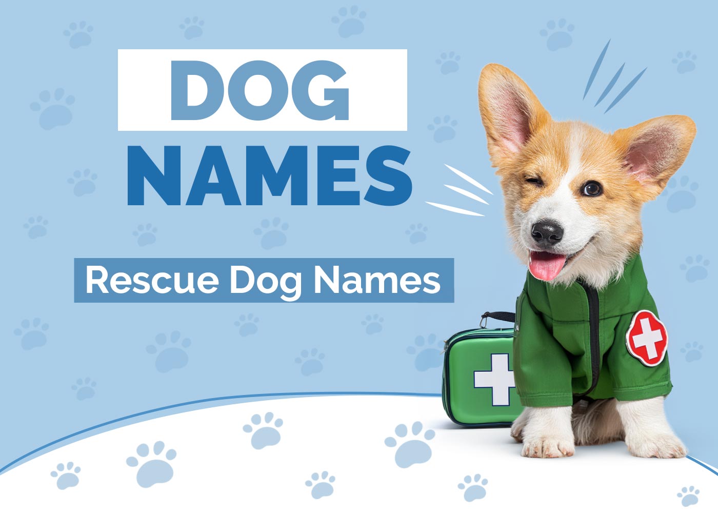 100+ Rescue Dog Names: Ideas for Adopted & Grateful Dogs