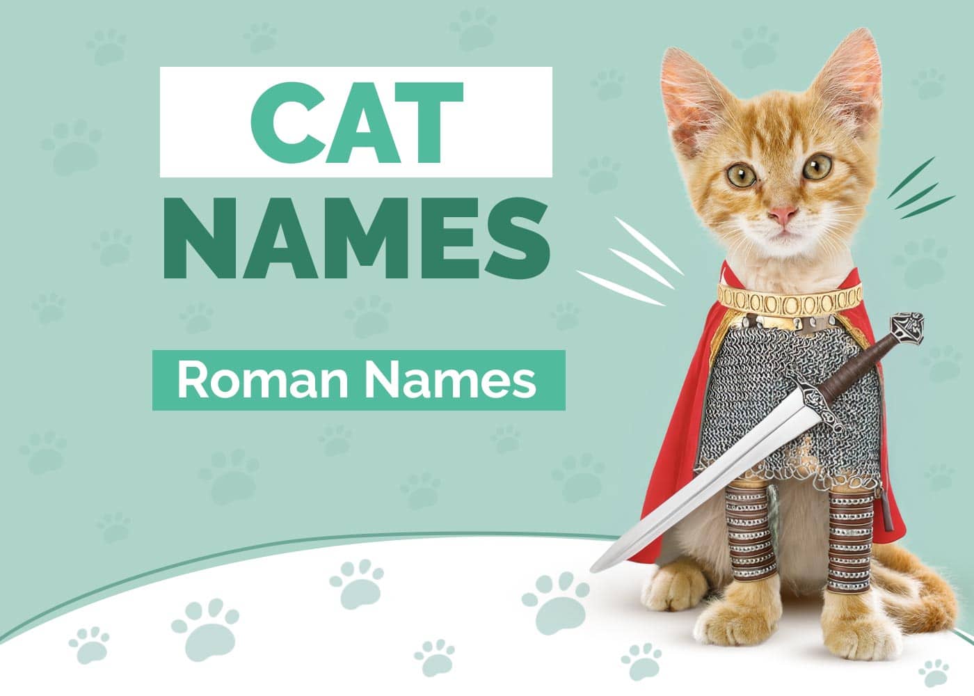 200 Roman Cat Names for Your Gladiator Pet