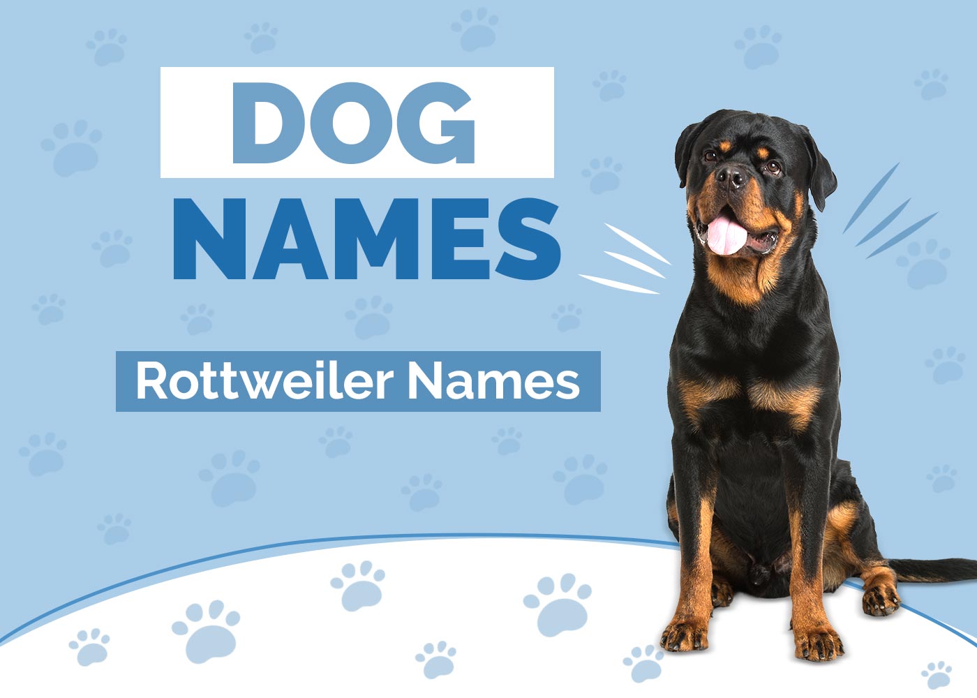 100+ Rottweiler Names: Ideas for Unique & Strong Dogs