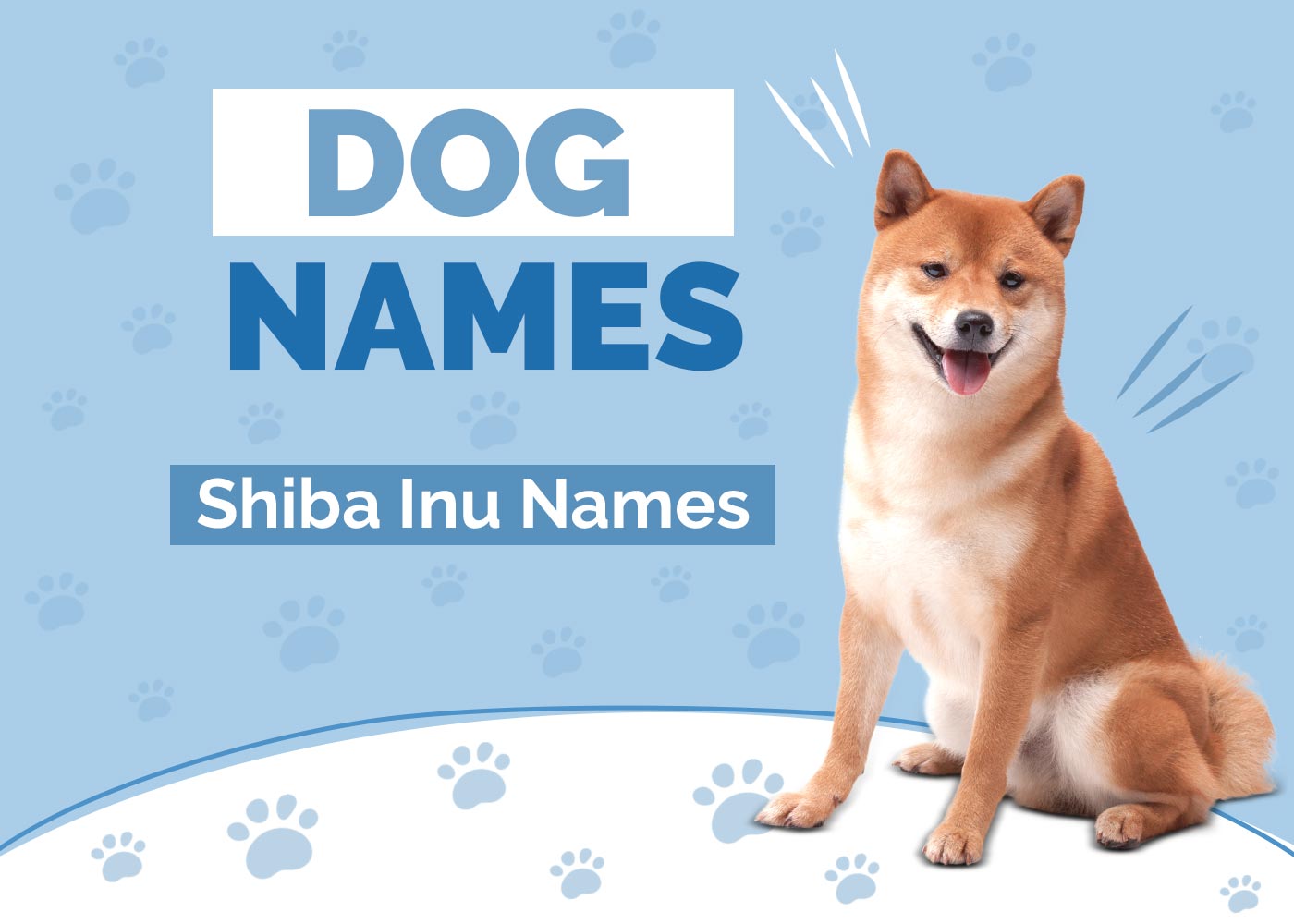 100+ Shiba Inu Dog Names: Fun, Meaningful & Japanese Ideas