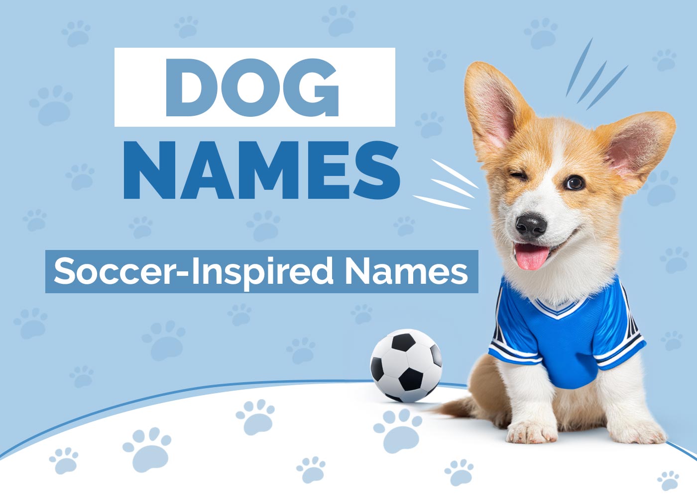 100+ Soccer Inspired Dog Names: For Athletic, Ball-Chasing Canines