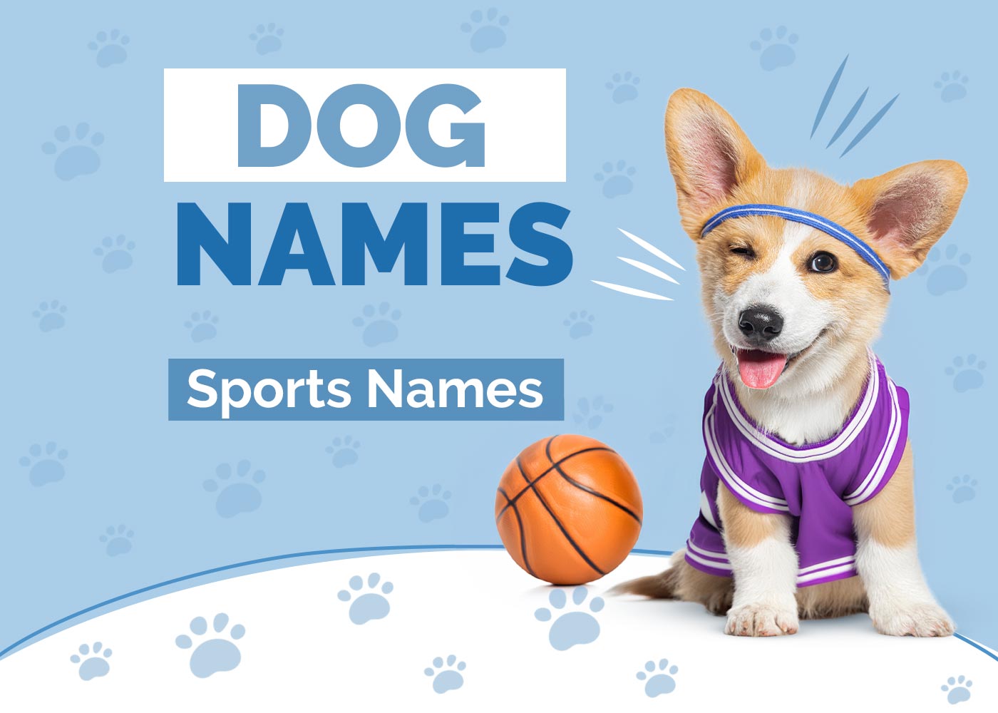100+ Sports Dog Names: Ideas for Athletic & Fun Dogs
