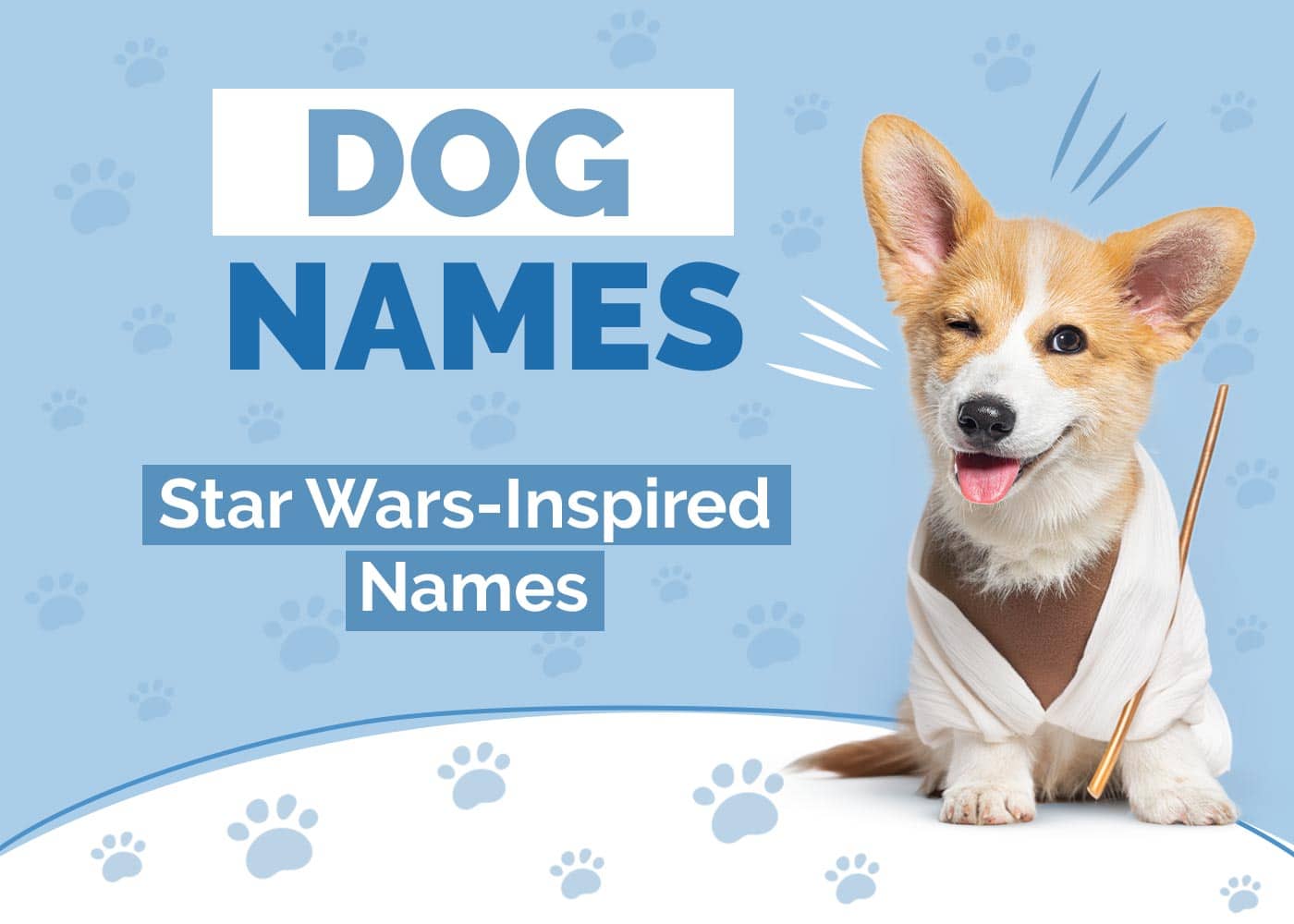 114 Star Wars Inspired Dog Names: The Force is With These Jedi Ideas